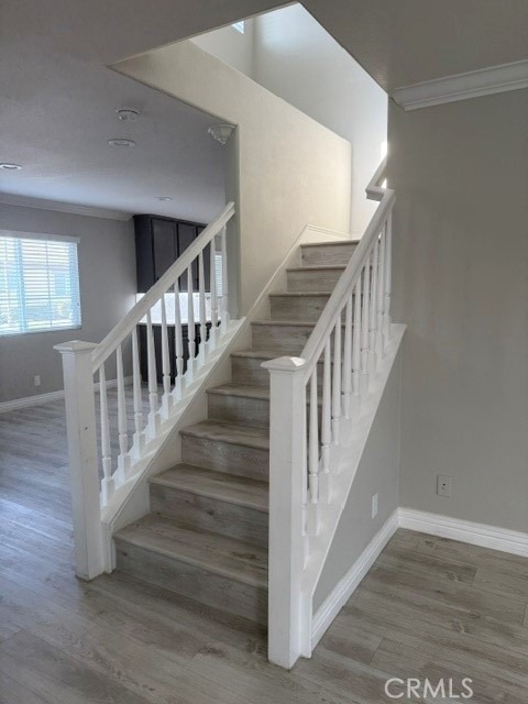 436 N Placer Privado - Photo 4