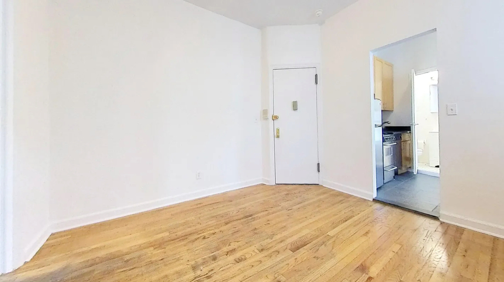 East 76th Street - Photo 4
