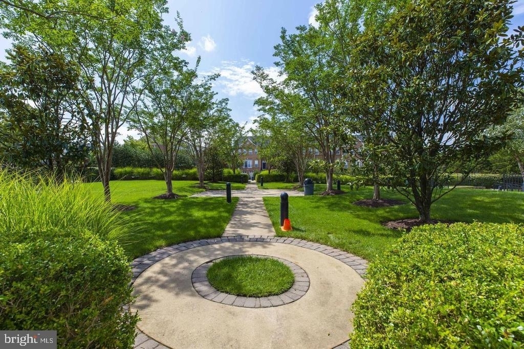 24704 Clock Tower Square - Photo 12