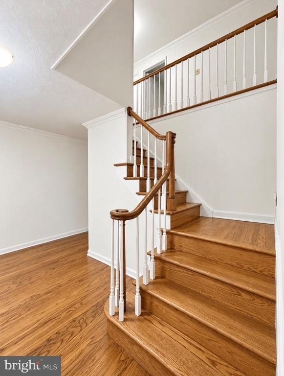3 Stonebridge Road - Photo 16