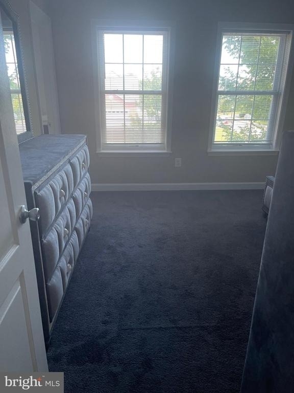 9012 Chestnut Avenue - Photo 13