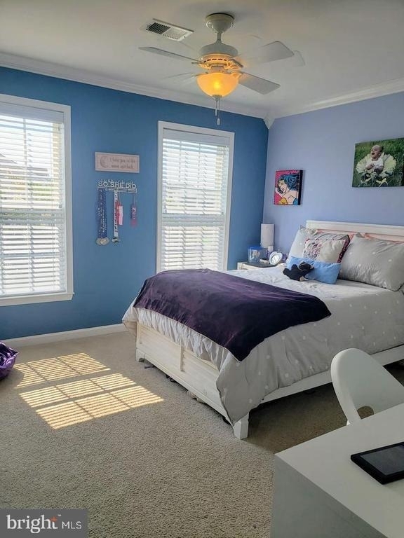 8005 Grayden Lane - Photo 19