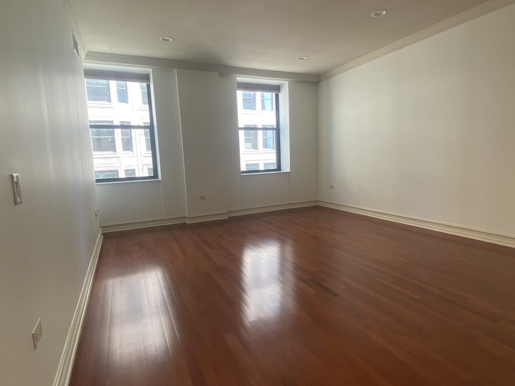 310 S Michigan Avenue - Photo 4