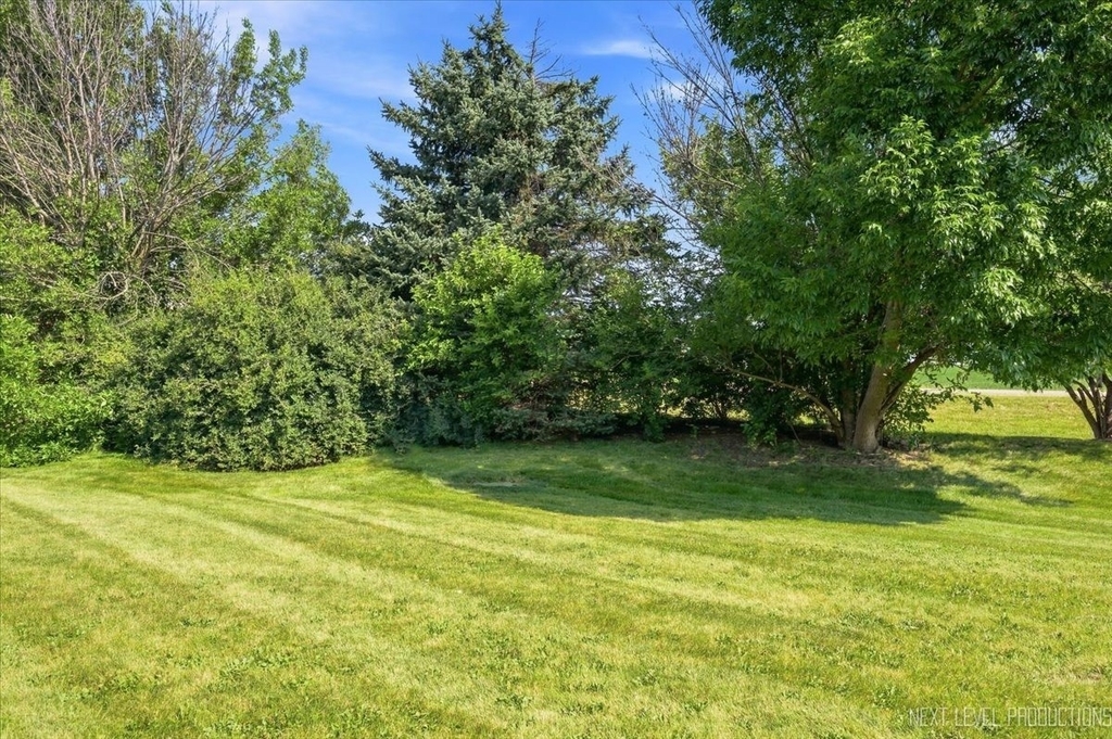 306 Conley Drive - Photo 5