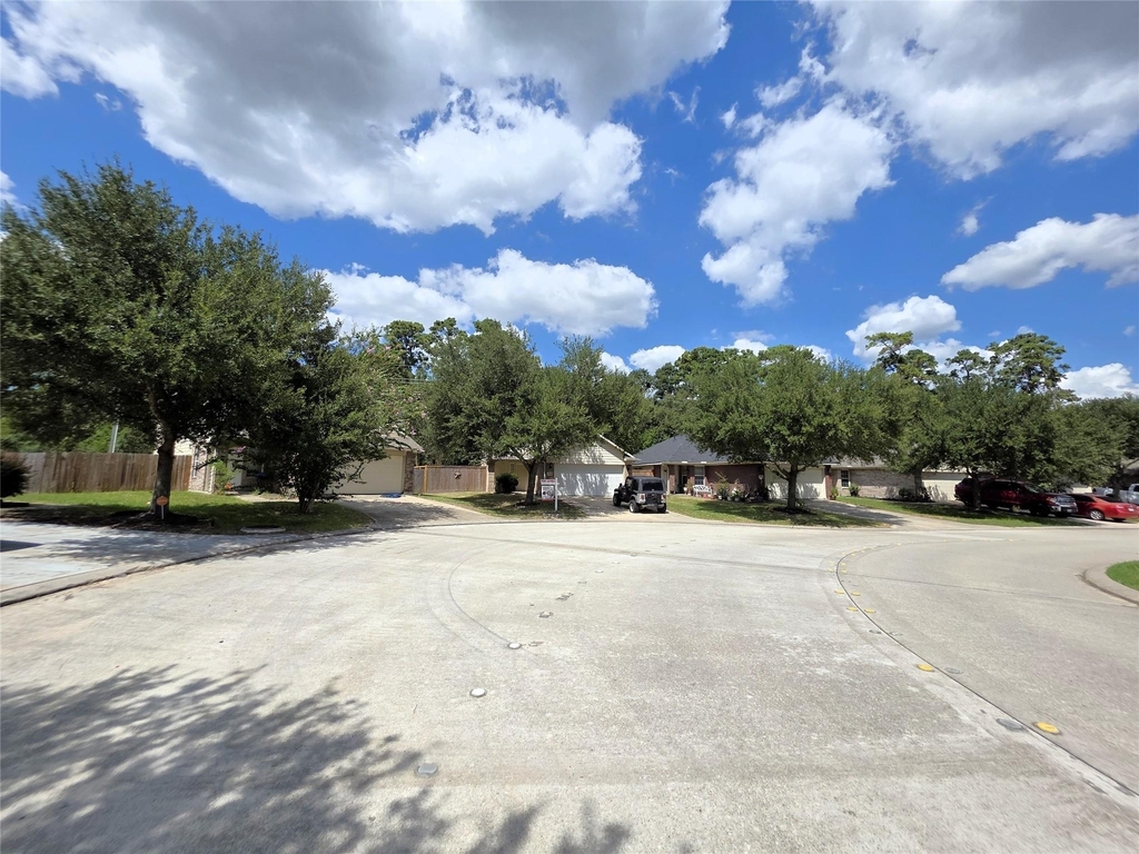 2507 Cypress Island Drive - Photo 47