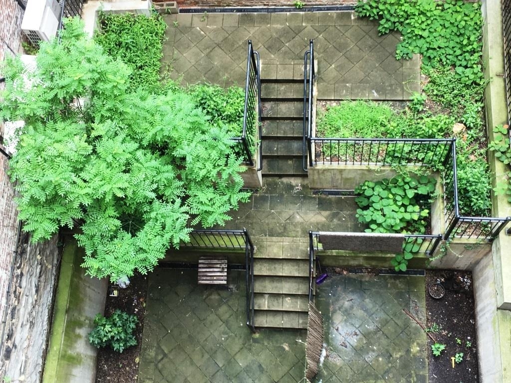 73 Pineapple Street - Photo 2
