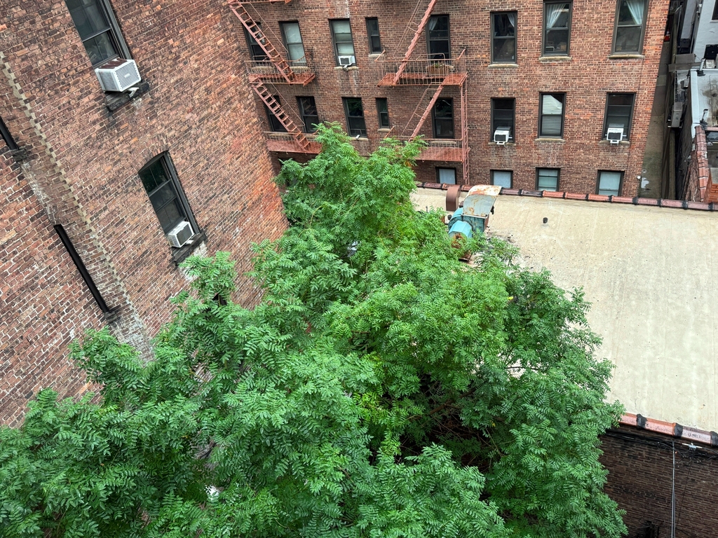 73 Pineapple Street - Photo 4