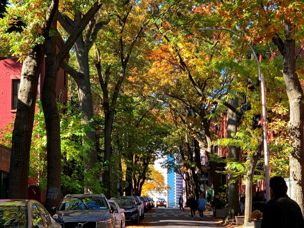 73 Pineapple Street - Photo 16