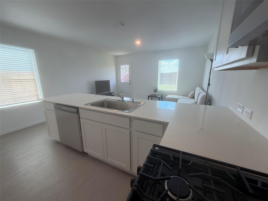 930 Pertuso Lane - Photo 8