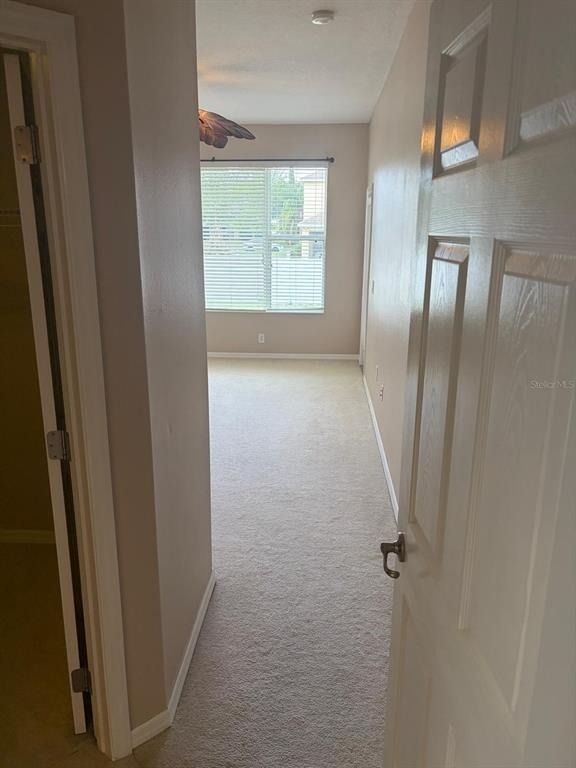 4576 Barbados Loop - Photo 19