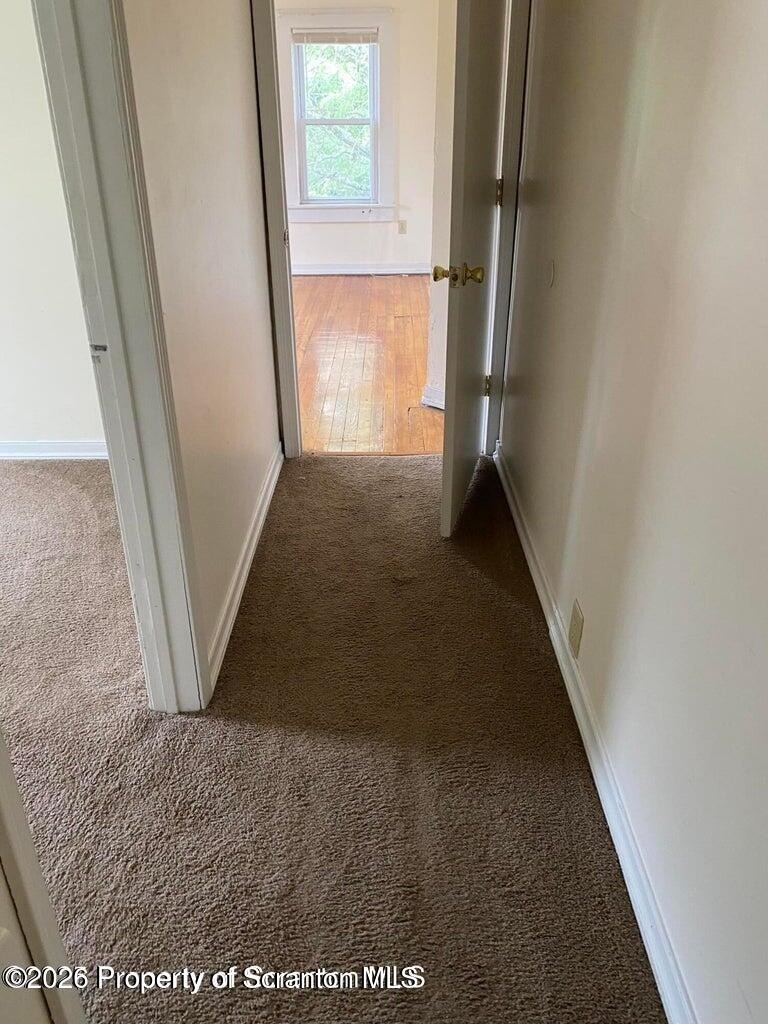 2430 Amelia Avenue - Photo 7
