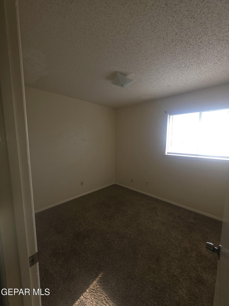 10908 Bob Stone Drive - Photo 12