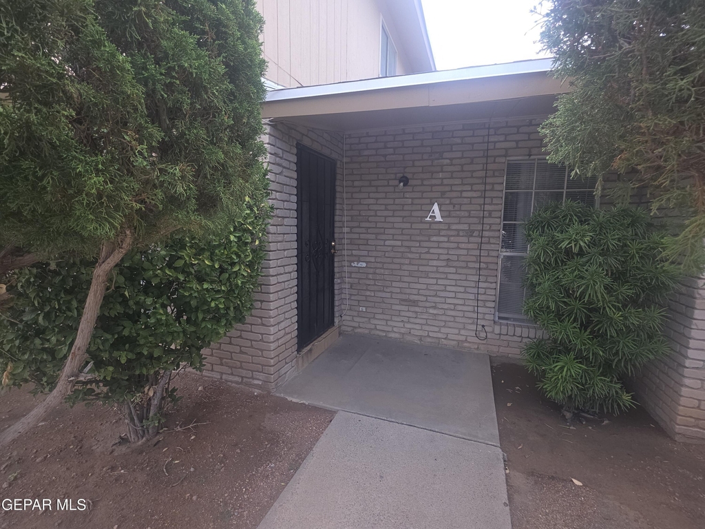 10908 Bob Stone Drive - Photo 3