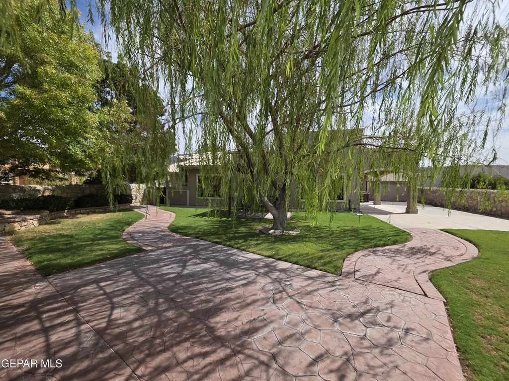 7346 Gulf Creek Drive - Photo 46