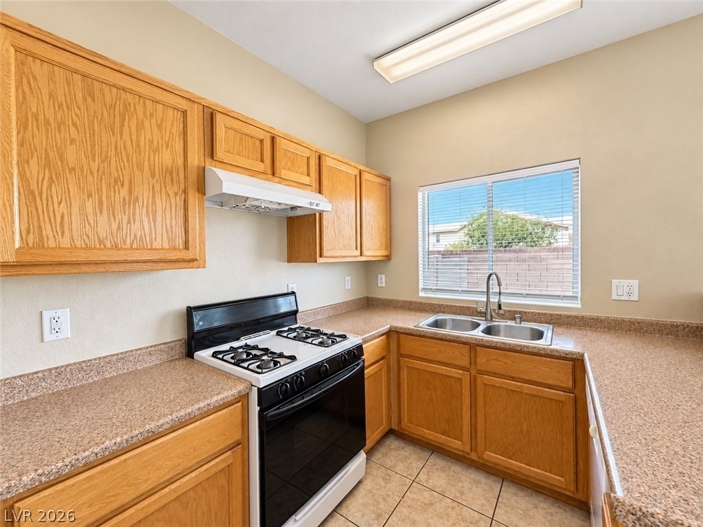 4624 Snake Eyes Street - Photo 14