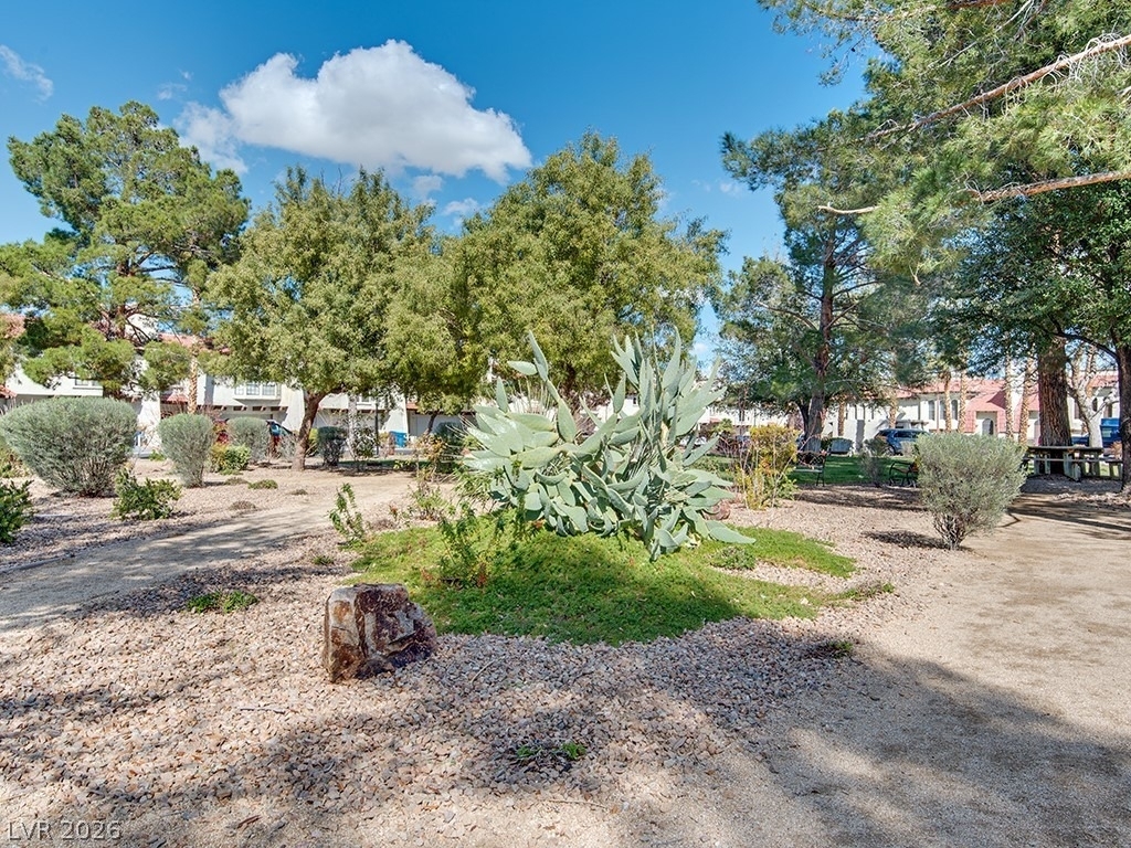 4937 Vivaldi Drive - Photo 20