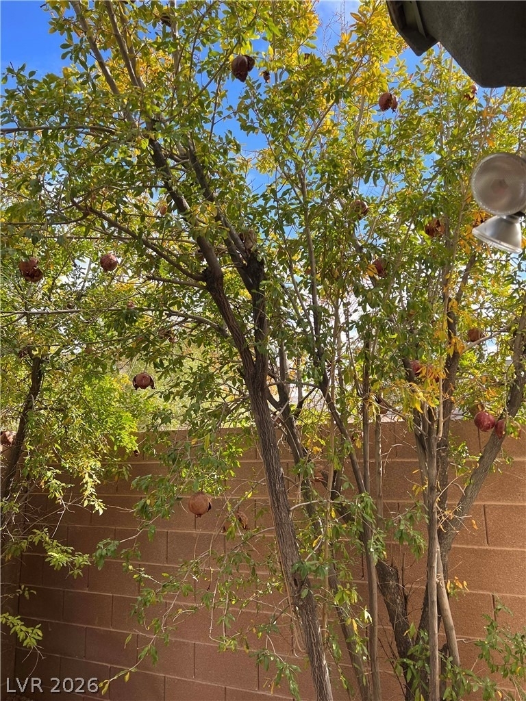 2164 Lone Desert Street - Photo 43