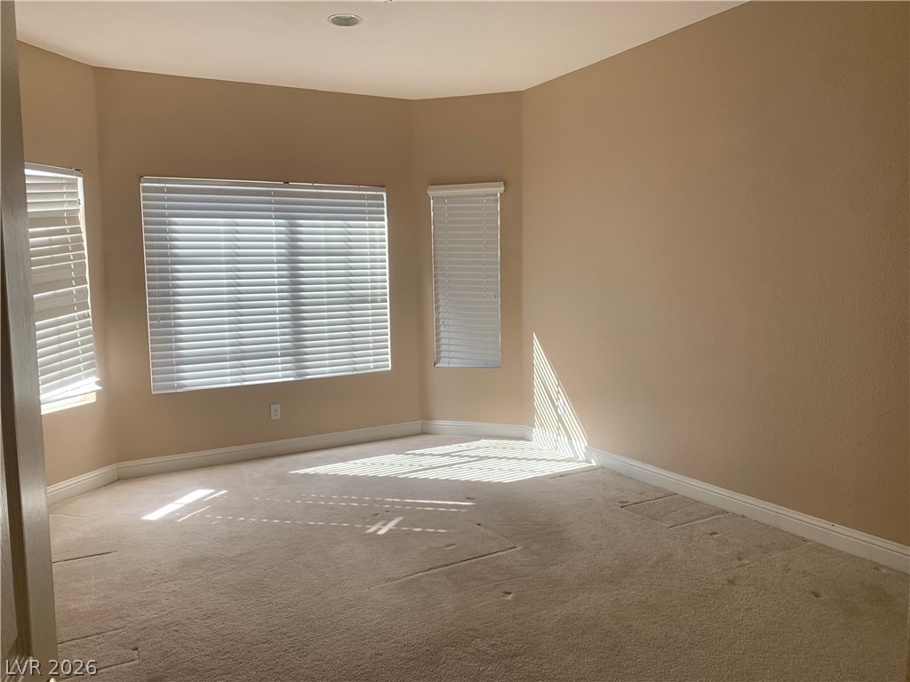10660 Lago Cantini Street - Photo 36