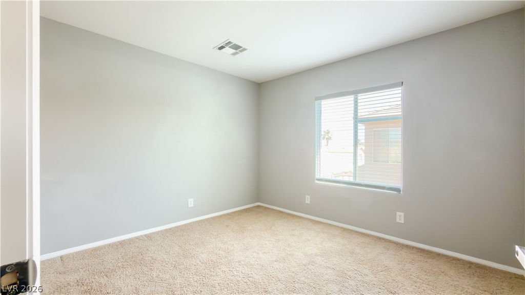 3610 Pinnate Drive - Photo 9