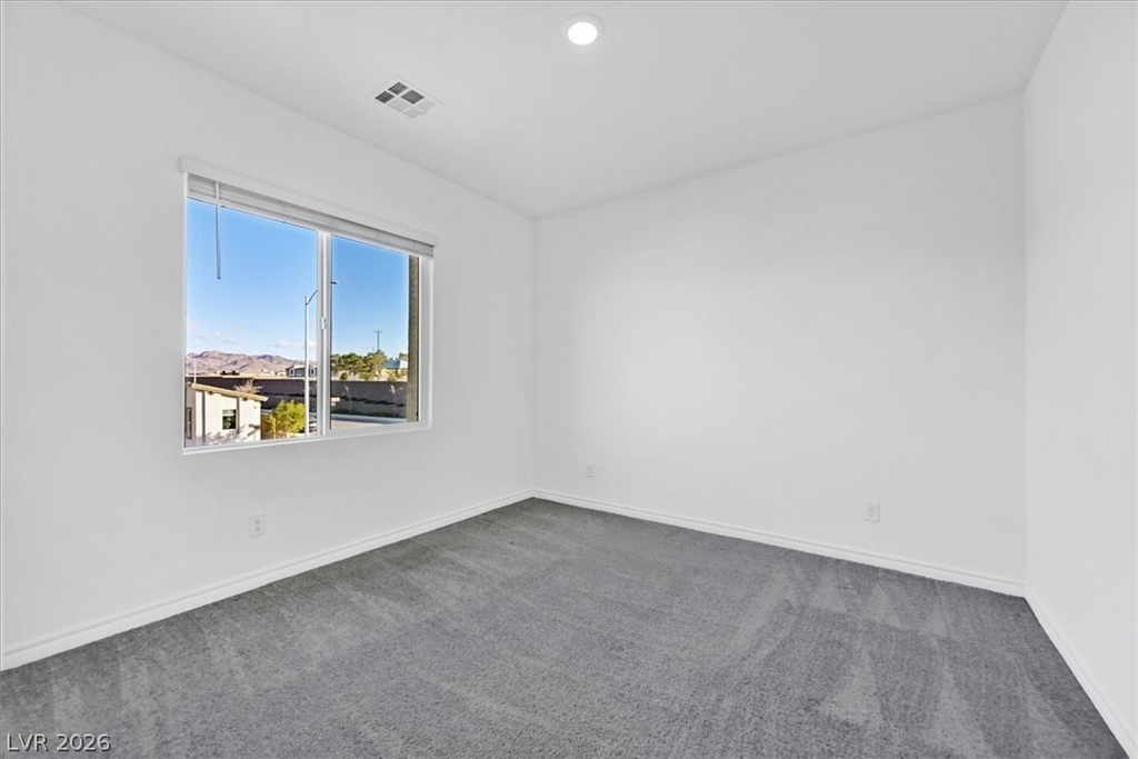 303 Fletcher Falls Street - Photo 23