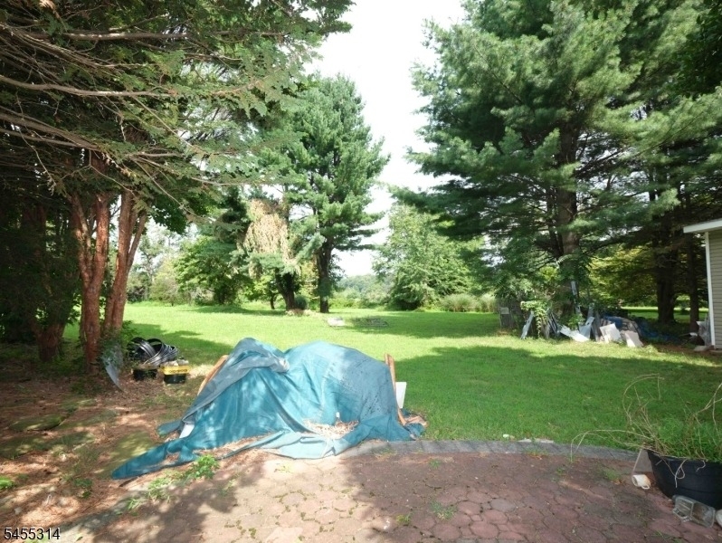 161 Mount Horeb Rd - Photo 7