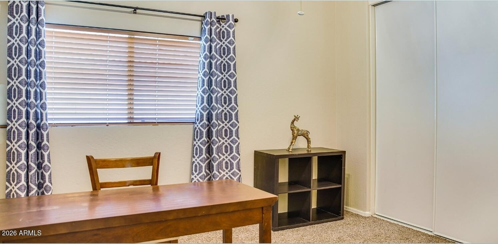 1117 E Milada Drive - Photo 10