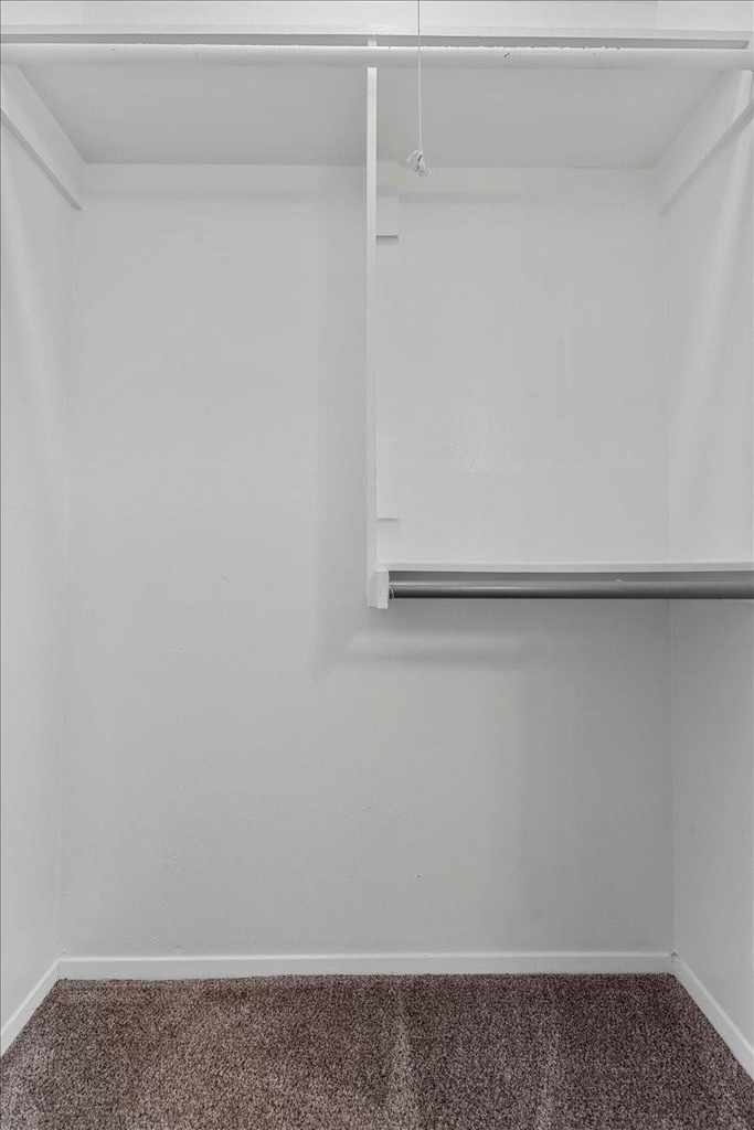 817 Warren Way - Photo 14