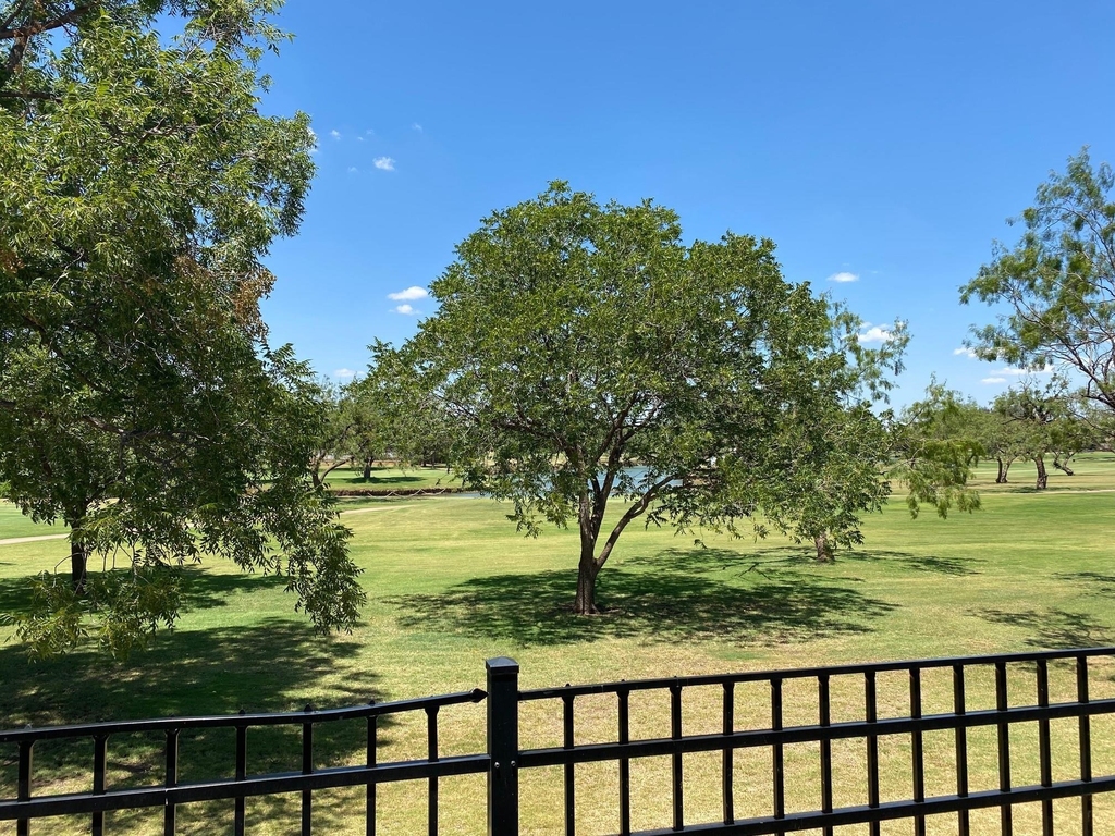 39 Tamarisk Circle - Photo 2