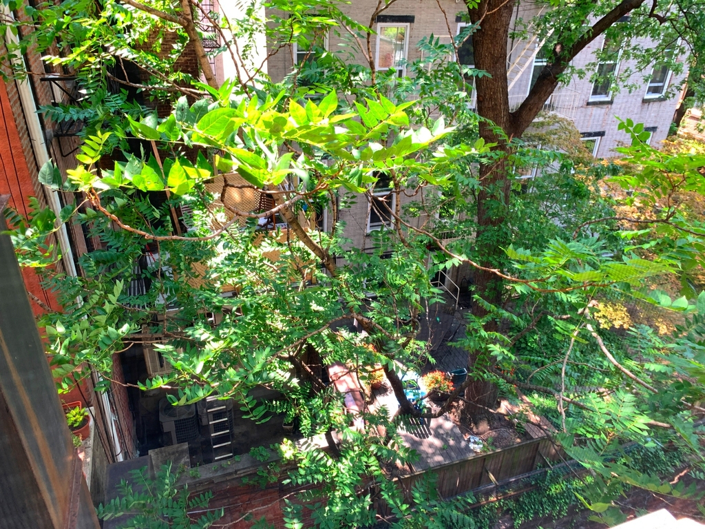 80 Cranberry Street - Photo 1
