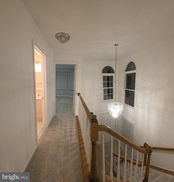 21780 Canfield Terrace - Photo 36