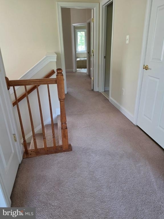 8502 Pamela Way - Photo 19
