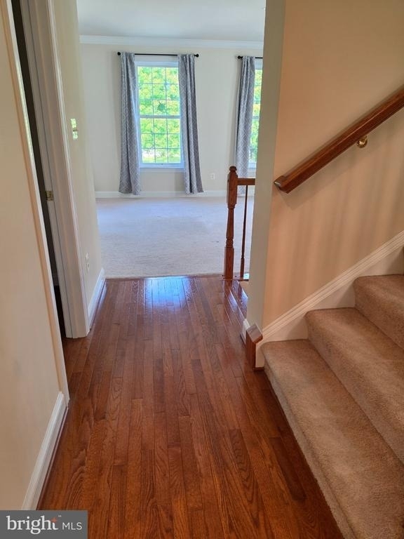 8502 Pamela Way - Photo 20