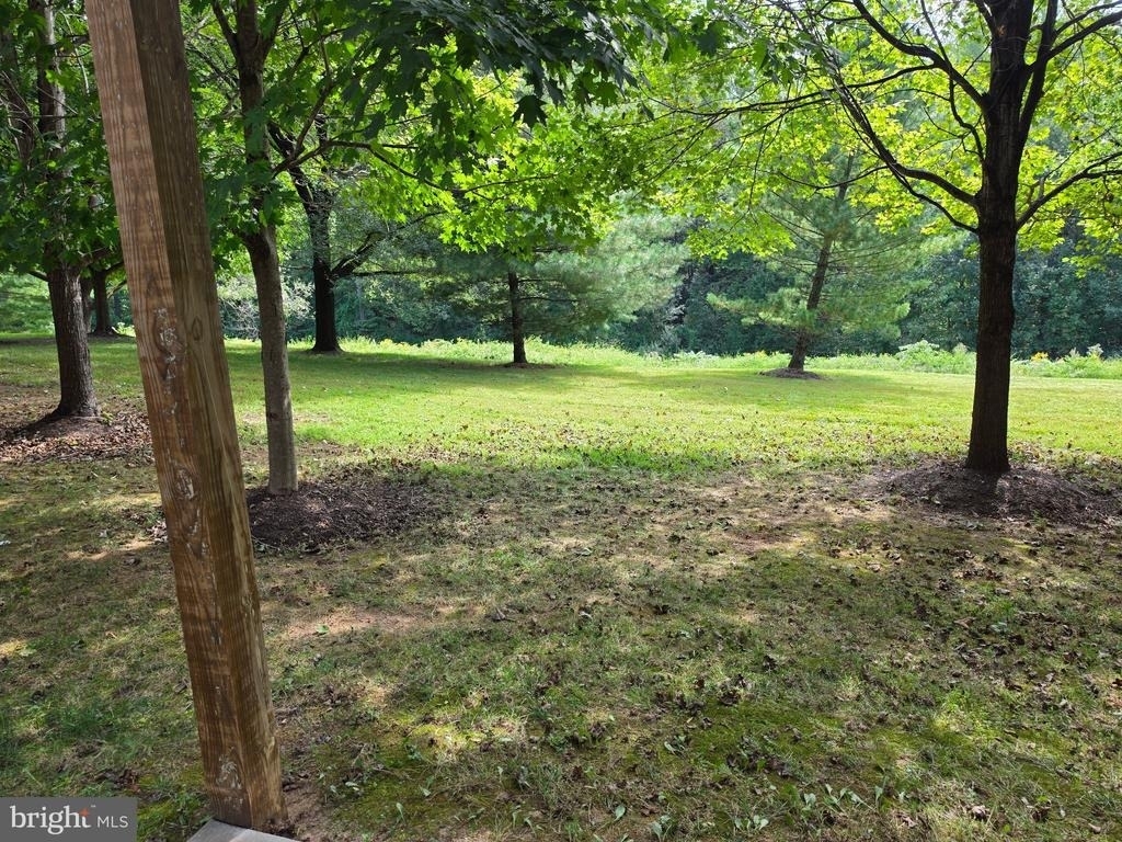 8502 Pamela Way - Photo 34