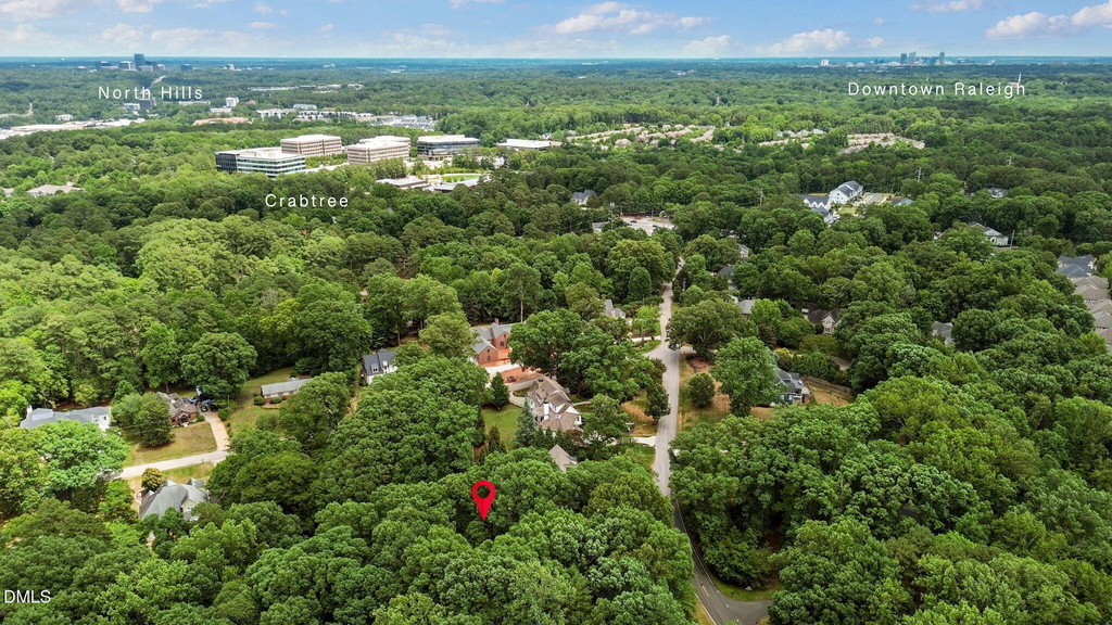 4419 Laurel Hills Road - Photo 3