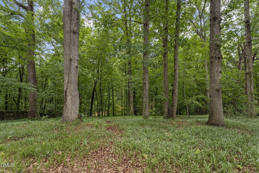 4419 Laurel Hills Road - Photo 36
