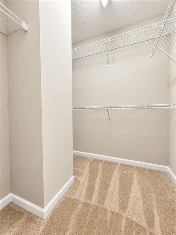 4115 Howell Park Road - Photo 10