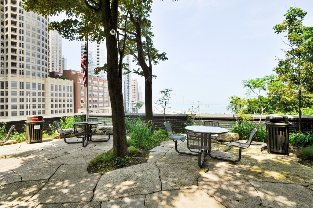 505 N Lake Shore Drive - Photo 26