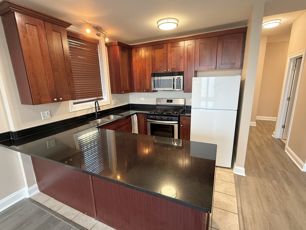2513 W Congress Parkway - Photo 4