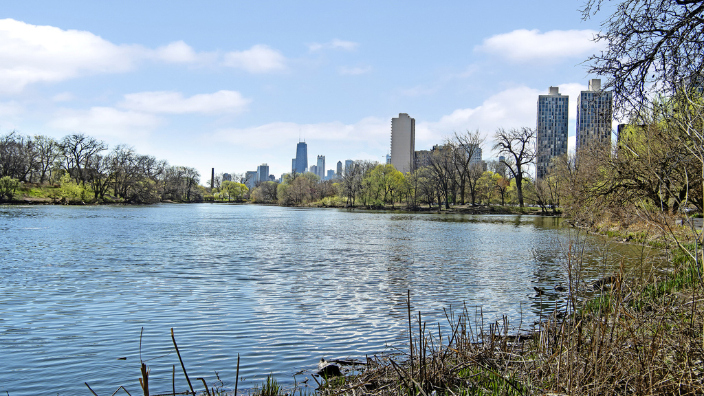 2500 N Lakeview Avenue - Photo 20