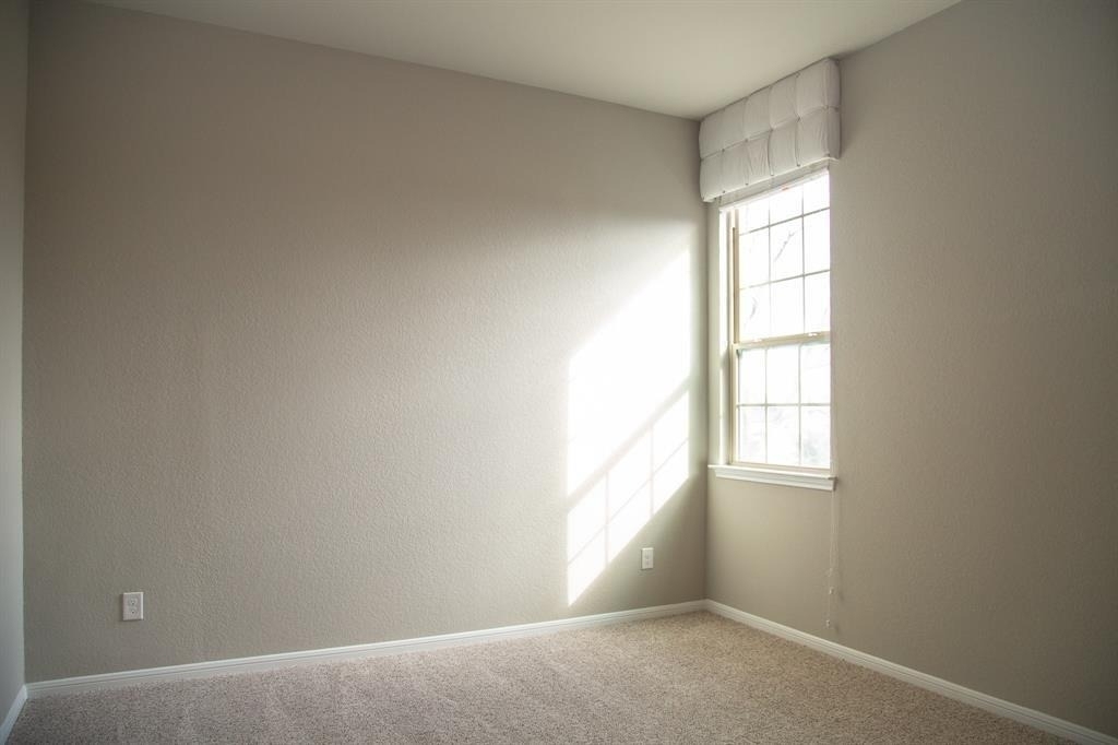 4902 Thunder Creek Lane - Photo 20