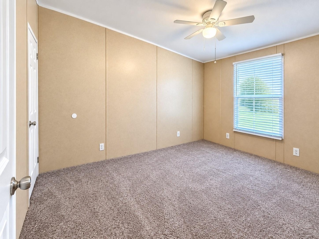 31502 Marlin Street - Photo 13