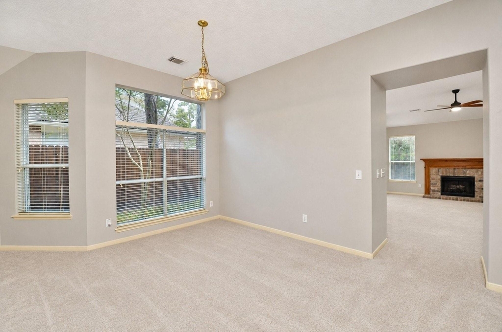43 S Lace Arbor Drive - Photo 8
