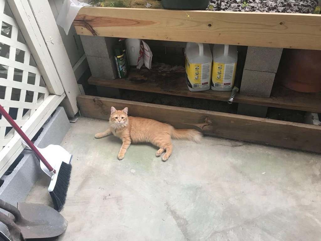 8055 Cambridge Street - Photo 29