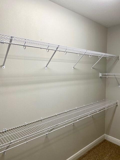 2680 Ballydoyle Lane - Photo 11