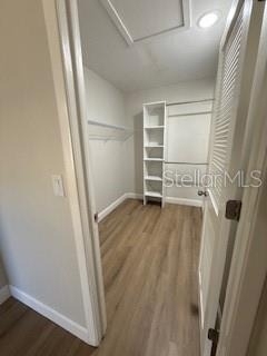 3505 Tarpon Woods Boulevard - Photo 10