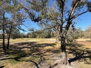 3505 Tarpon Woods Boulevard - Photo 25