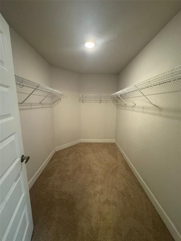 257 Citrus Pointe Drive - Photo 8