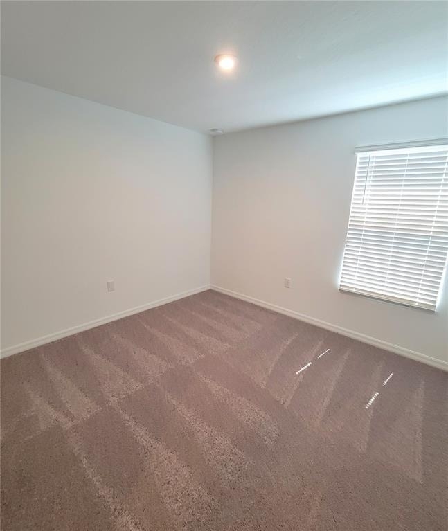 5651 Costa Blanca Way - Photo 14