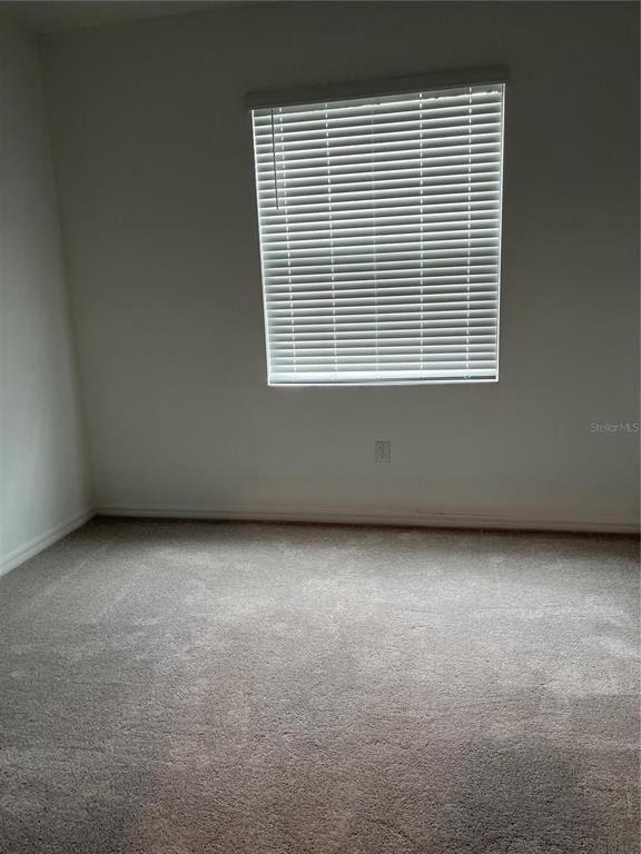 19536 Fishhawk Trail - Photo 18