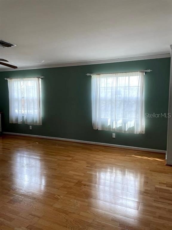 421 Palm Avenue N - Photo 9